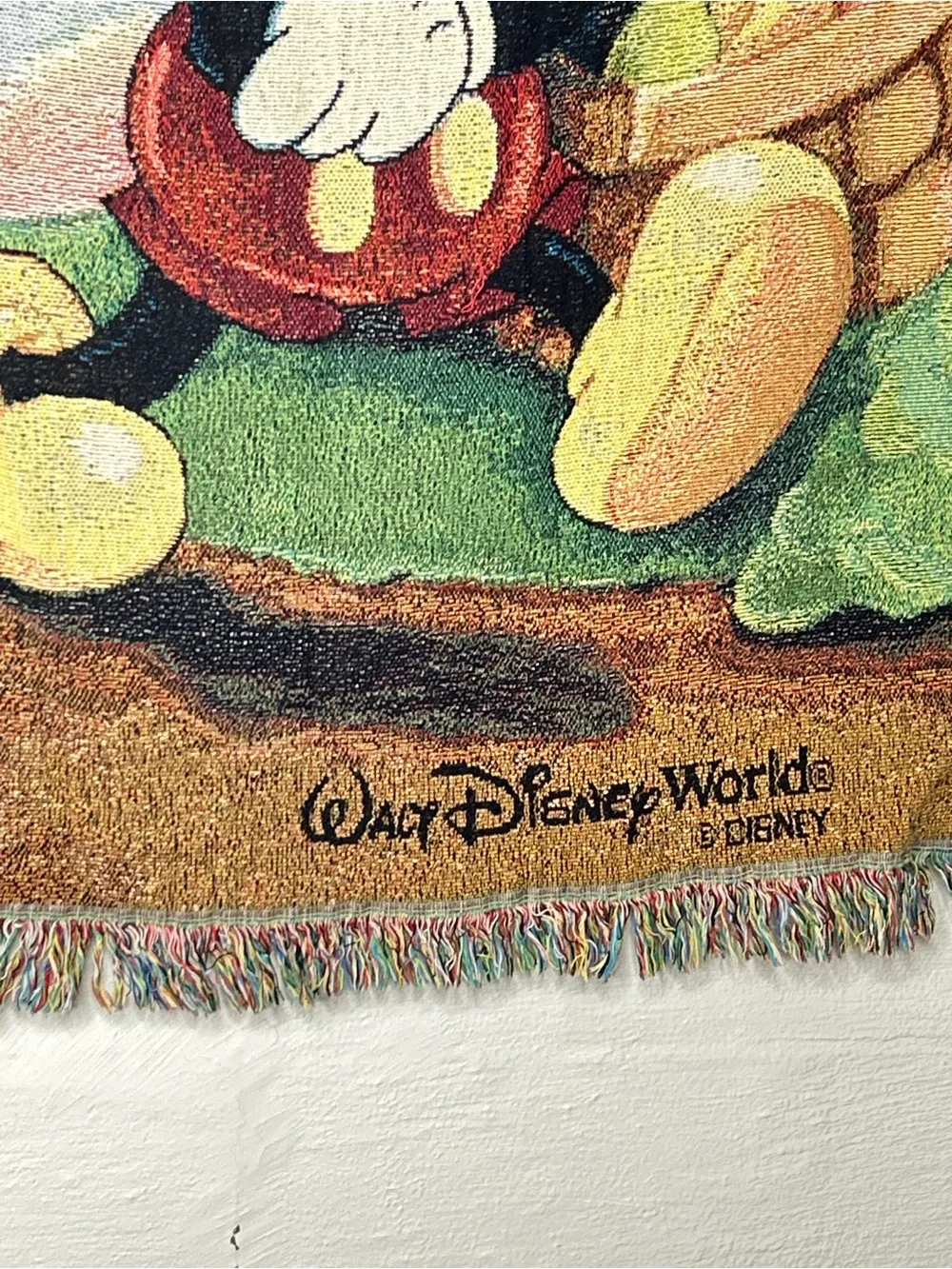 Mickey & Minnie Mouse Throw Blanket 50x62 Afghan Tapestry Walt Disney World